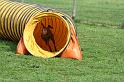 RoryAgility (16)